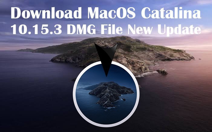 macos 10.15 catalina download dmg